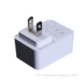 Adaptateur mural USB 5V2A pour l'instrument de beauté cosmétique